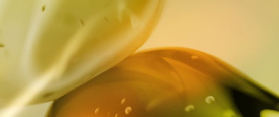 Eurofragance presenta Olivante®, su nuevo ingrediente patentado obtenido del suprarreciclaje de la pulpa de aceituna