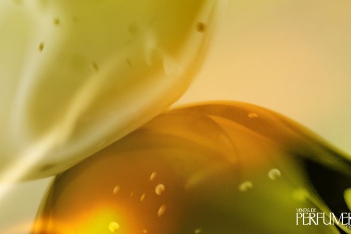 Eurofragance presenta Olivante®, su nuevo ingrediente patentado obtenido del suprarreciclaje de la pulpa de aceituna