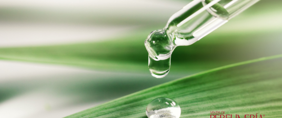 Nace The Natural Cosmetics Hub, un nuevo espacio para el sector de la cosmética ecológica y natural