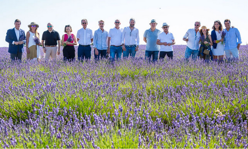 Encuentro de los Académicos del Perfume en la tierra de la Lavanda, en Brihuega