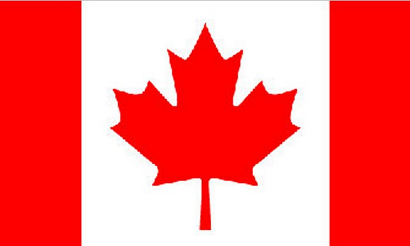 Los acondicionadores lideran el mercado de productos capilares en Canadá
