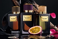 Dolce&Gabbana amplía su colección Velvet 
