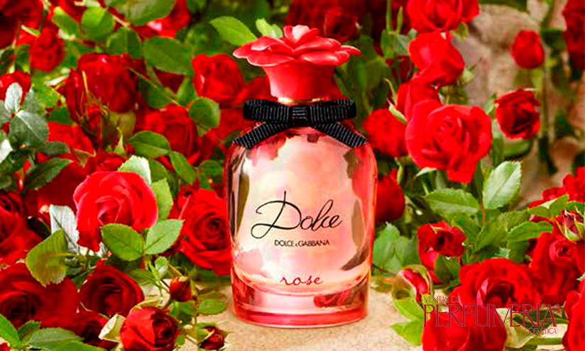 Arriba 78+ imagen dolce gabbana perfume nuevo - Abzlocal.mx