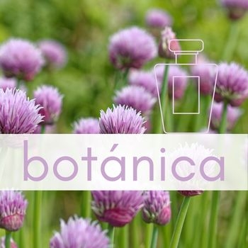 5 preguntas con…Dra. María-Paz Martín, profesora de investigación, directora del Real Jardín Botánico-CSIC