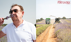 La Academia del Perfume reúne a profesionales del sector en Brihuega para celebrar la jornada de la lavanda